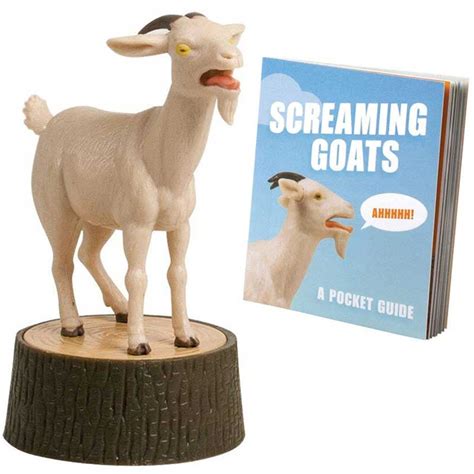 Screaming goat toy - When you're feeling frustrated, need a laugh, or just want to puncture the silence of a mundane office, press the Screaming Goat Figurine's stump to unleash a cry that could wake the neighbors. The detailed figurine is accompanied by a 32-page color-printed mini-book with facts and trivia about goats. Keep this toy nearby and you’ll laugh ...